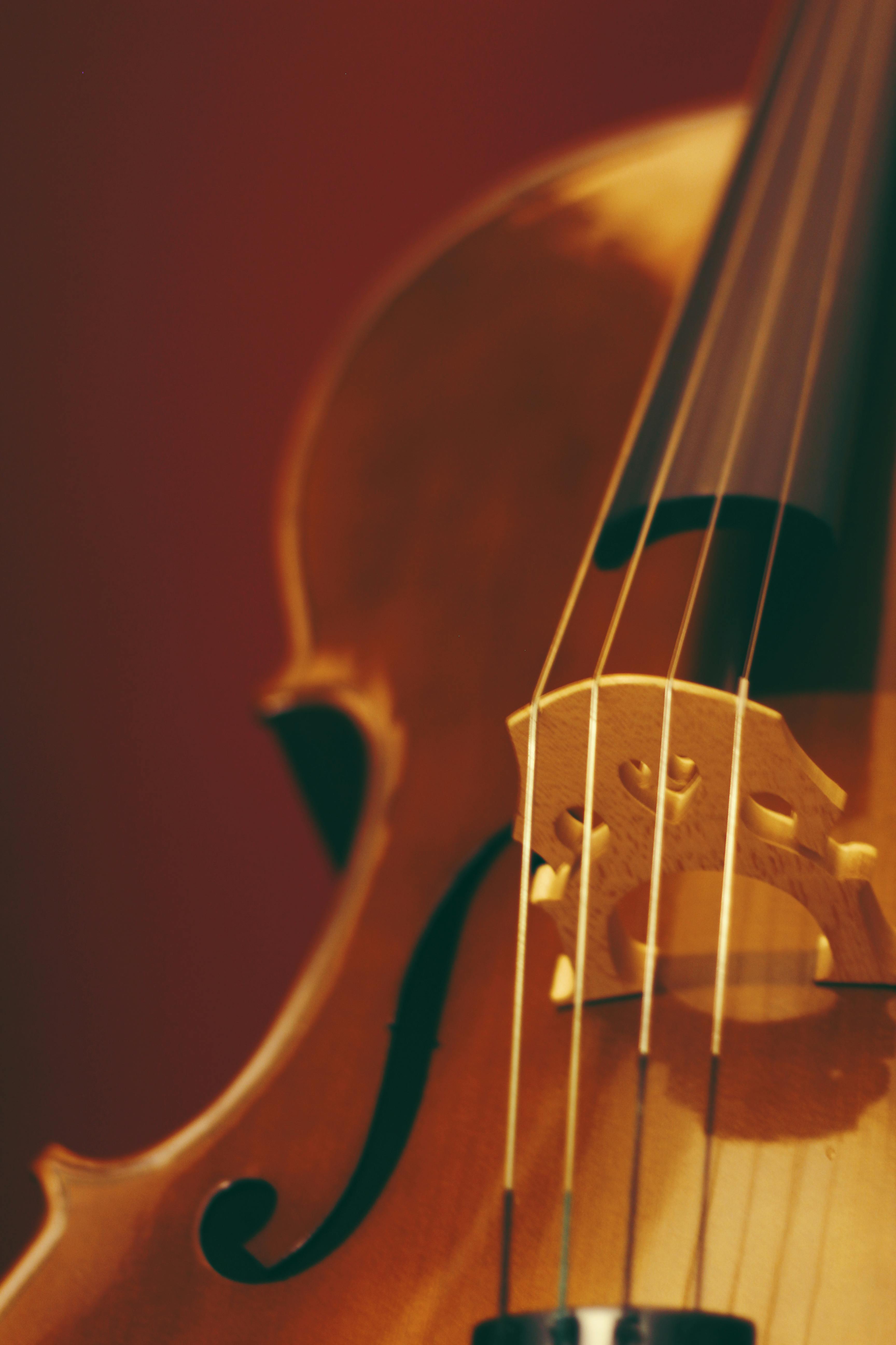 Cello Detail